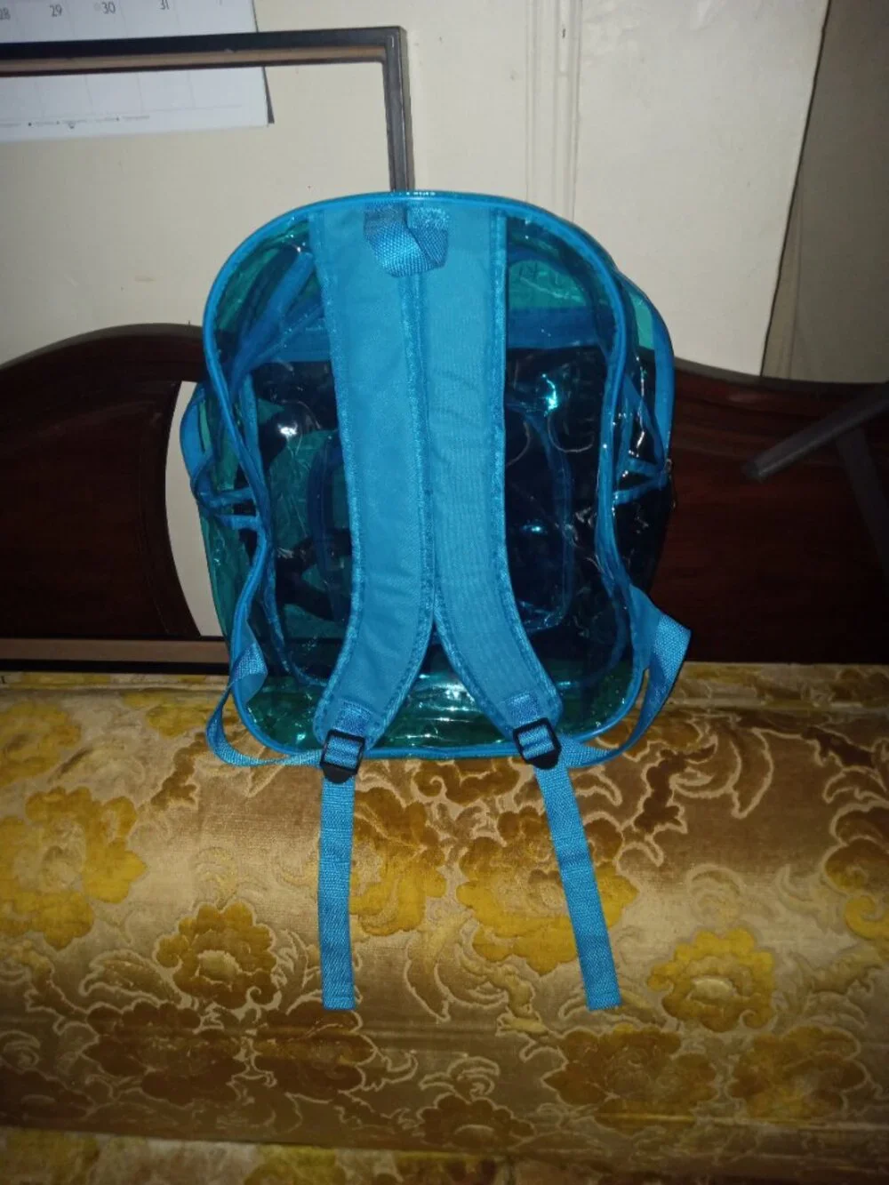 Kendall + Kylie Clear PVC Backpack blue